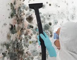 Best Air Quality Testing for Mold Spores  in Pine Crest, TN